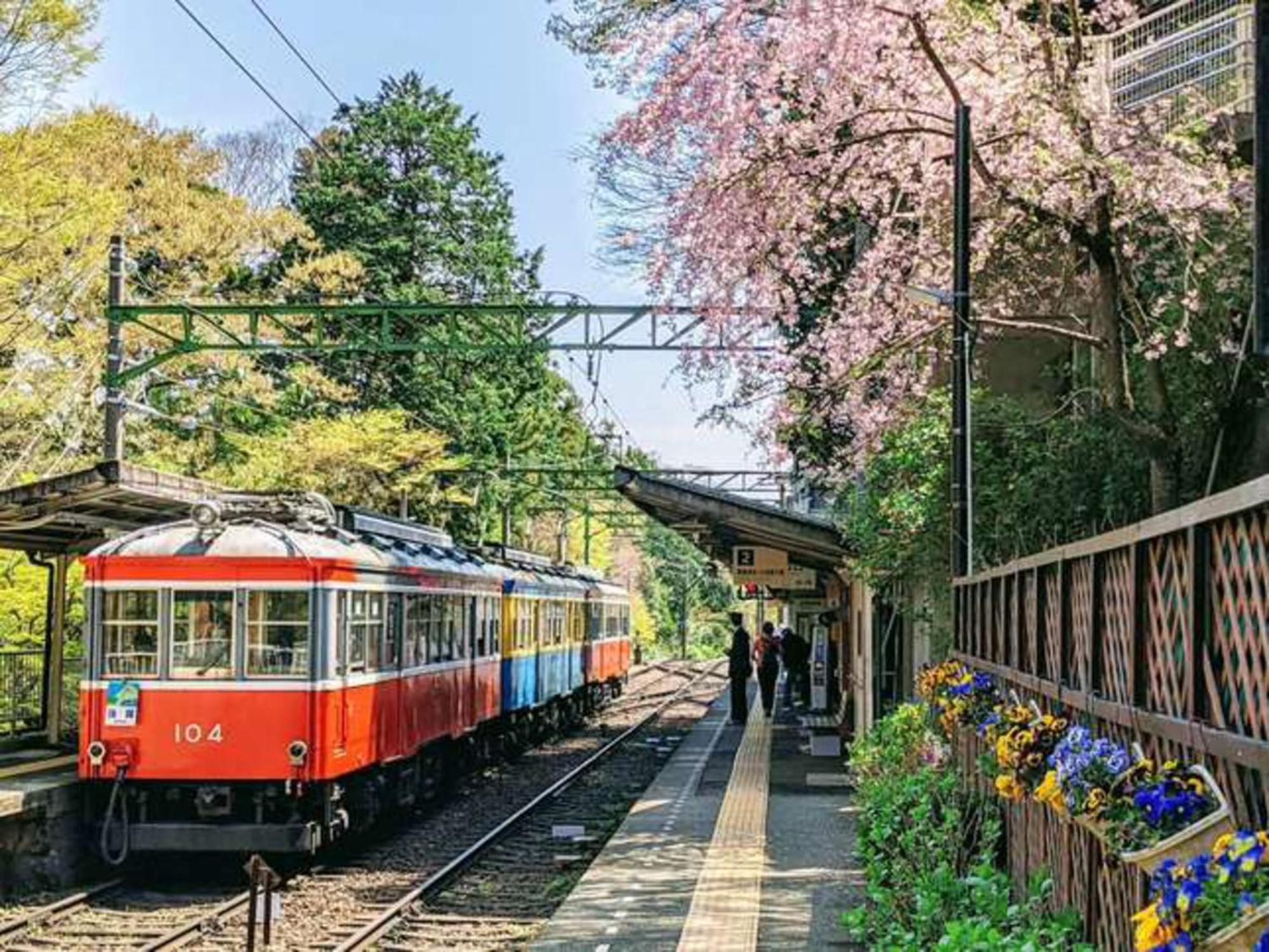 Hotel Morinokaze Hakone Sengokuhara Esterno foto
